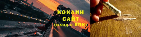 прущие грибы Алексин