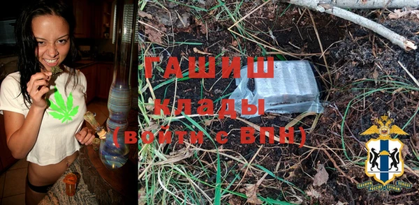 дмт Алзамай