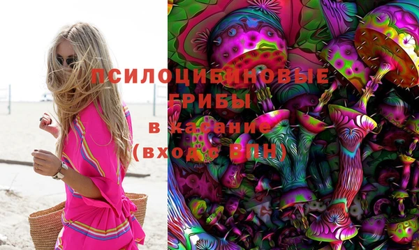прущие грибы Алексин